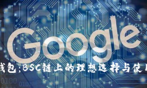 小狐钱包：BSC链上的理想选择与使用指南