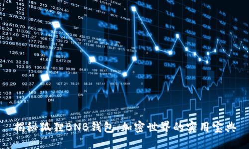 揭秘狐狸BNB钱包：加密世界的实用宝典