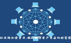 探秘巨鲸加密货币：揭秘