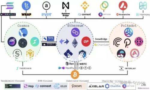 对于“小狐钱包已导入怎么取消”的问题，我们可以从多个方面来进行探讨。首先，我们需要明确的是“小狐钱包”是一款怎样的应用，以及用户因何需要取消导入。

### 小狐钱包导入取消指南：实用技巧大揭秘