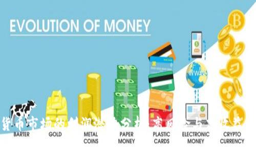 加密货币市场的利润潜力分析：高风险与高收益的平衡