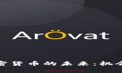 Visa加密货币的未来：机会与挑战