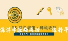 在加密货币的海洋中驶向