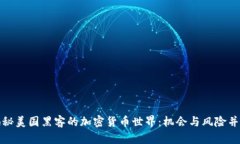 揭秘美国黑客的加密货币