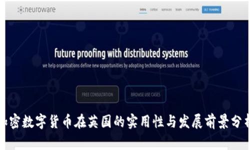 加密数字货币在英国的实用性与发展前景分析