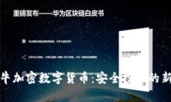 揭秘牛加密数字货币：安