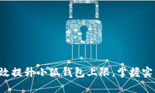 如何有效提升小狐钱包上限，掌握实用技巧！