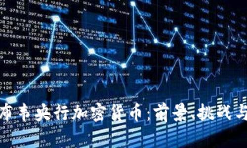 探索津巴布韦央行加密货币：前景、挑战与实用价值
