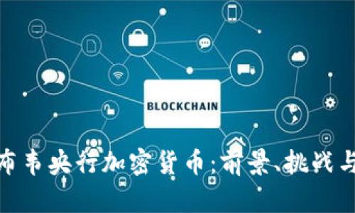 探索津巴布韦央行加密货币：前景、挑战与实用价值