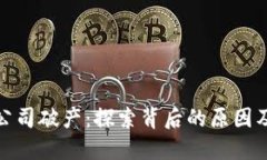 加密货币公司破产：探索