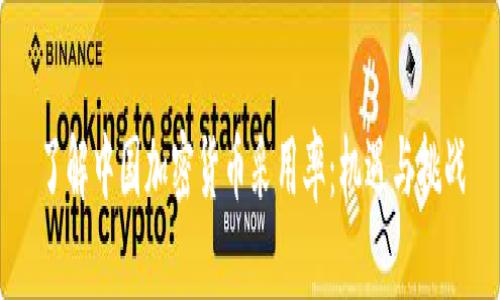 了解中国加密货币采用率：机遇与挑战