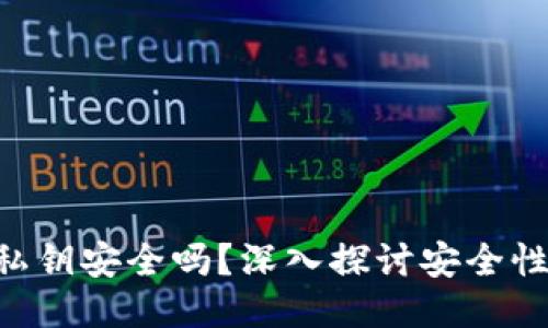 MetaMask私钥安全吗？深入探讨安全性与保护措施