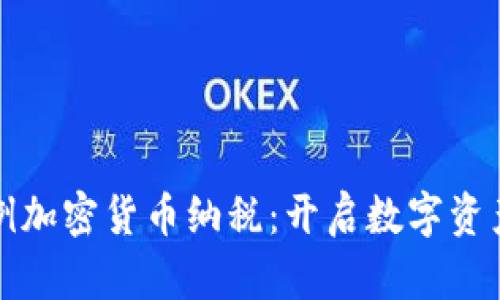 美国首例加密货币纳税：开启数字资产新时代