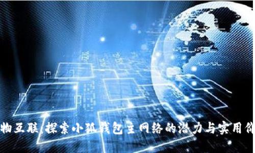 万物互联：探索小狐钱包主网络的潜力与实用价值