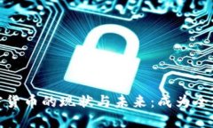 各地储备加密货币的现状