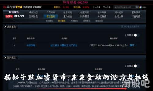 揭秘子默加密货币：未来金融的潜力与机遇