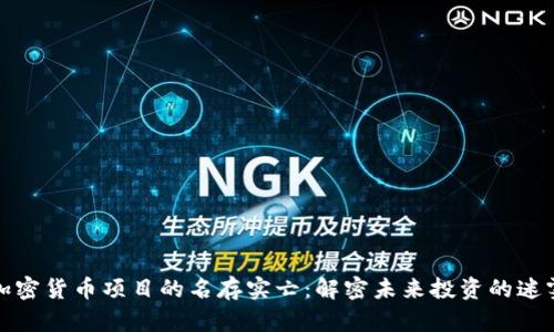 加密货币项目的名存实亡：解密未来投资的迷雾