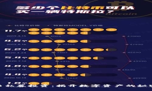 加密货币私募投资：揭开数字资产的秘密与机会