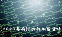 探索未来：2023年有潜力的