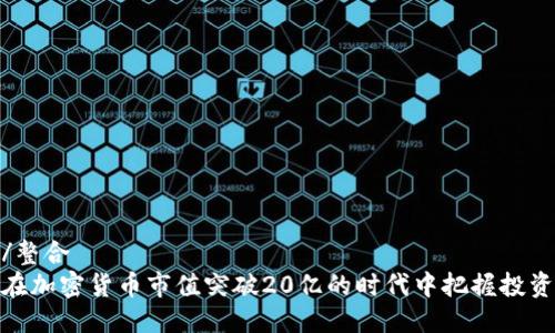 整合/整合
如何在加密货币市值突破20亿的时代中把握投资机会