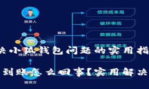 未到账？解决小狐钱包问题的实用指南

小狐钱包未到账怎么回事？实用解决方案大揭秘