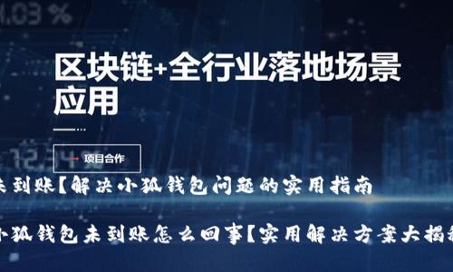 未到账？解决小狐钱包问题的实用指南

小狐钱包未到账怎么回事？实用解决方案大揭秘