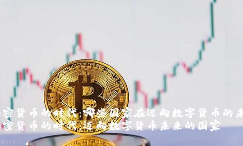 全球加密货币的时代：哪些国家在迈向数字货币的未来？  
全球加密货币的时代：迈向数字货币未来的国家