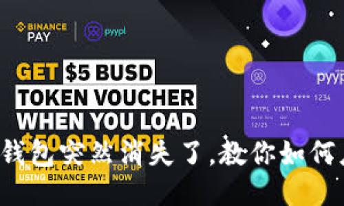 小狐钱包突然消失了，教你如何应对！