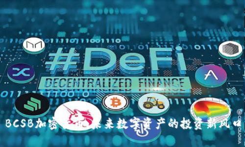 BCSB加密货币：未来数字资产的投资新风口
