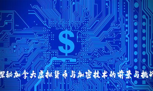 探秘加拿大虚拟货币与加密技术的前景与挑战