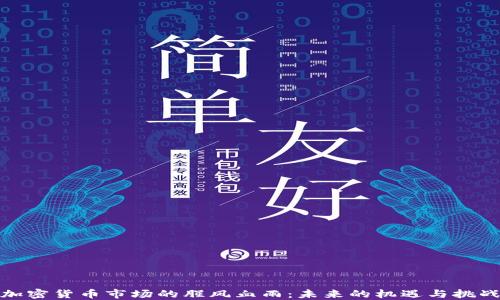 
加密货币市场的腥风血雨：未来的机遇与挑战