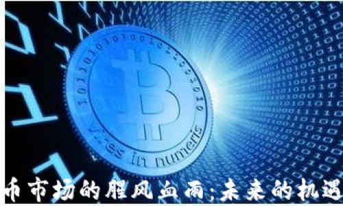 
加密货币市场的腥风血雨：未来的机遇与挑战