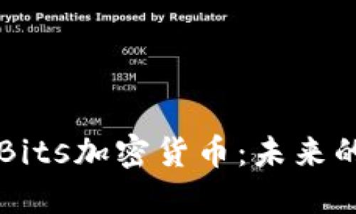 深入解读Bits加密货币：未来的数字资产