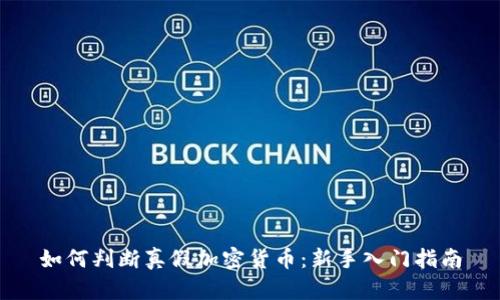 如何判断真假加密货币：新手入门指南