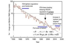 揭开小狐钱包的真相：如
