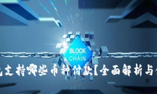 小狐钱包支持哪些币种付款？全面解析与使用指南