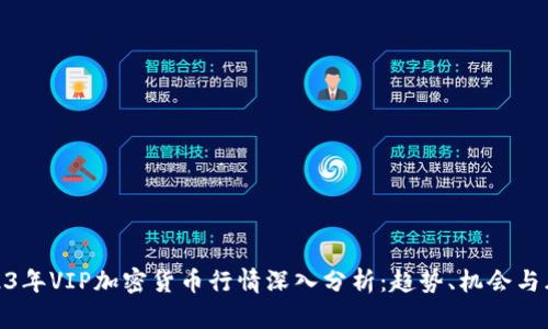 2023年VIP加密货币行情深入分析：趋势、机会与风险