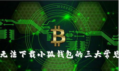 解决无法下载小狐钱包的三大常见问题