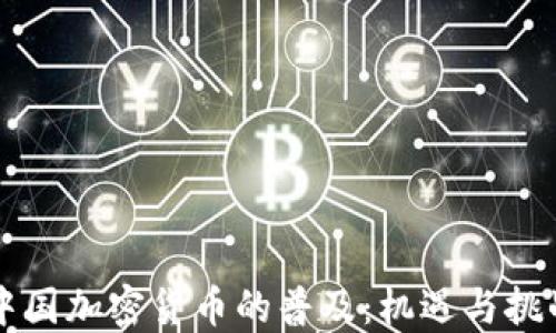 
中国加密货币的普及：机遇与挑战