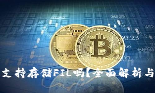 小狐钱包支持存储FIL吗？全面解析与用户指南