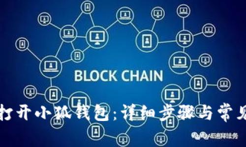 如何顺利打开小狐钱包：详细步骤与常见问题解答