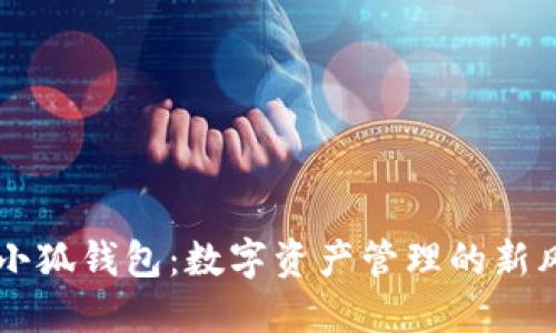 币圈小狐钱包：数字资产管理的新风向标