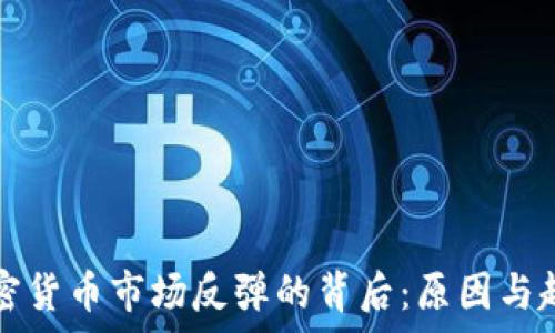   
美国加密货币市场反弹的背后：原因与趋势分析