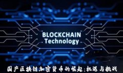 国产区块链加密货币的崛