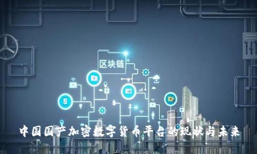 中国国产加密数字货币平台的现状与未来