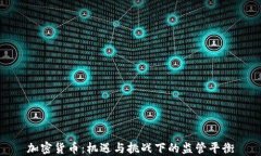 加密货币：机遇与挑战下