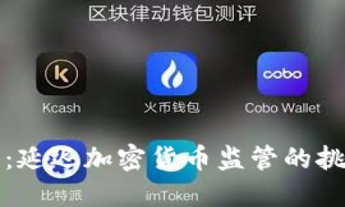 未来已至：延迟加密货币监管的挑战与机遇