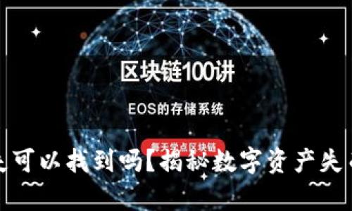 加密货币丢失可以找到吗？揭秘数字资产失而复得的真相