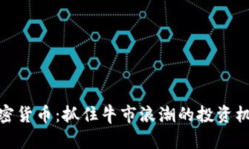 加密货币：抓住牛市浪潮的投资机遇