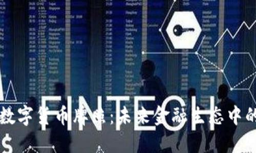 探讨加密数字货币牌照：未来金融生态中的关键角色